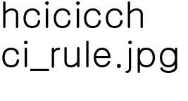 CI 영문 국문혼용 규칙